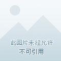 战龙兵王